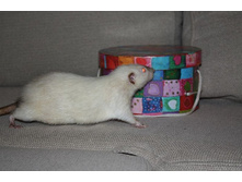 ��� ���?! � �� ���?