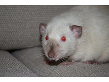 � �� ��� �����?