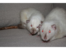 ��� �� ��� � ��������...