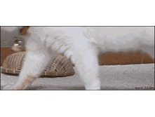 ���������!