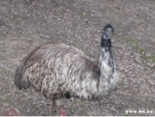 ����� �� ������