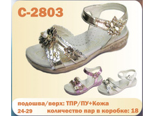 C-2803.jpg