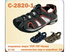 C-2820-1.jpg