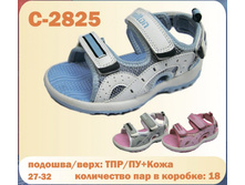 C-2825.jpg