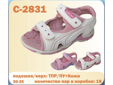 C-2831.jpg