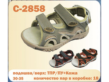 C-2858.jpg
