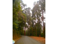 ��� ������