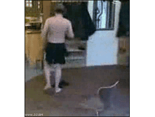 18.07.2010 12:41:03