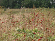 � �������� �����