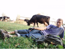 ���������)))