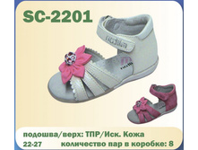 SC-2201.jpg