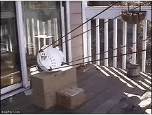18.07.2010 12:52:52