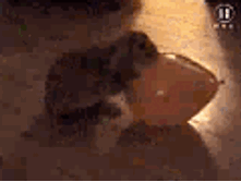 18.07.2010 13:07:17