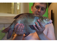 ������ 2470 (1).jpg