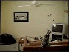 18.07.2010 13:22:34