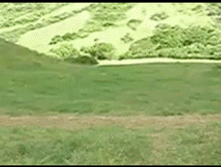 18.07.2010 13:36:12