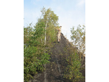 ����� ��� ���� ����������)))