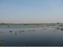 ������ ������ �������� ���� � ��������