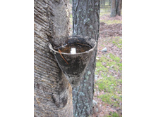 ������������ ���������