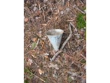 ������ ���� �� ����