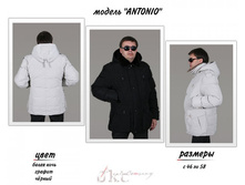 antonio.jpg 4950 �