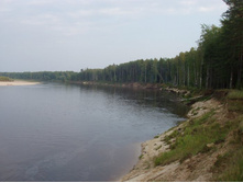 �. �������