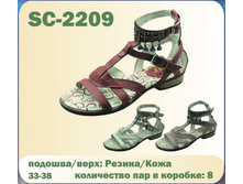 SC-2209.jpg