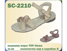 SC-2210.jpg