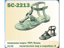 SC-2213.jpg