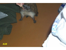 �������� �������! �� �����! )))