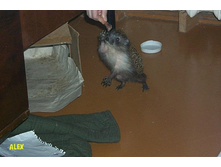 ������ �� ���������