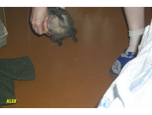 ������ �� ��������� 2