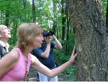 ���� � ��������� ������