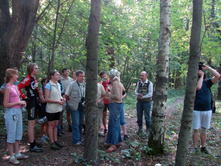 � ��ң���