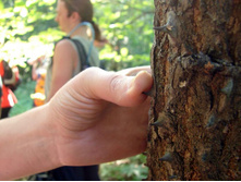 � ������, �� �� ����