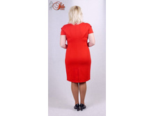 ������ ��������    