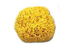 ����� 12. ���� 560�. ����� 14 (���� 731�)