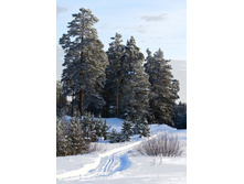 IMG_0838 � �.jpg