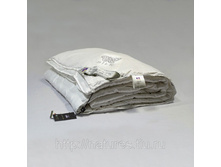 ������ ��������  ������ ����������� ����