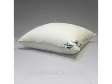 ������� \"������������ �����\" 