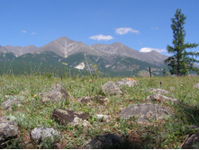 ������������� ������ ����������