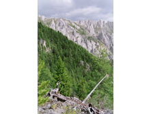 �������� �. ����-���