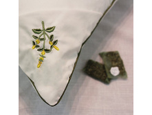 ������� \"���� ����������\"