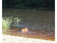 16 ������� �������� ������� 105.jpg