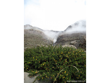 �����, ������, ������, ���������