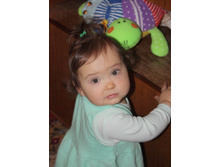 11 �������