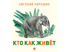 ��� ��� �����