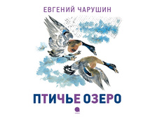 ������ �����