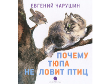 ������ ���� �� ����� ����