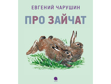 ��� ������